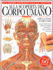 Copertina  Alla scoperta del corpo umano : alza i risvolti per scoprire i segreti del corpo umano