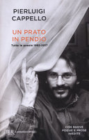 Copertina  Un prato in pendio : tutte le poesie 1992-2017 : [con nuove poesie e prose inedite]