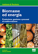 Copertina  Biomasse ed energia : produzione, gestione e processi di trasformazione