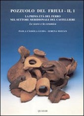 Copertina  La prima età del ferro nel settore meridionale del castelliere : lo scavo e la ceramica 2.1