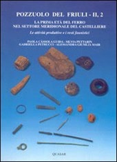 Copertina  La prima età del ferro nel settore meridionale del castelliere : le attività produttive e i resti faunistici 2.2