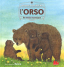 Copertina  L'orso : [re della montagna]